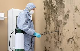  Merrick, NY Mold Removal & Remediation Pros